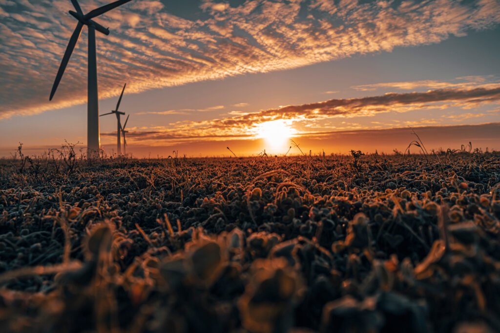 Three wind turbines at sunrise