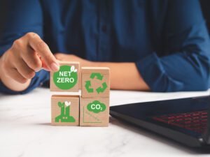 A person holding a wooden cube with green net zero icons on display over a marble table while sitting in the office