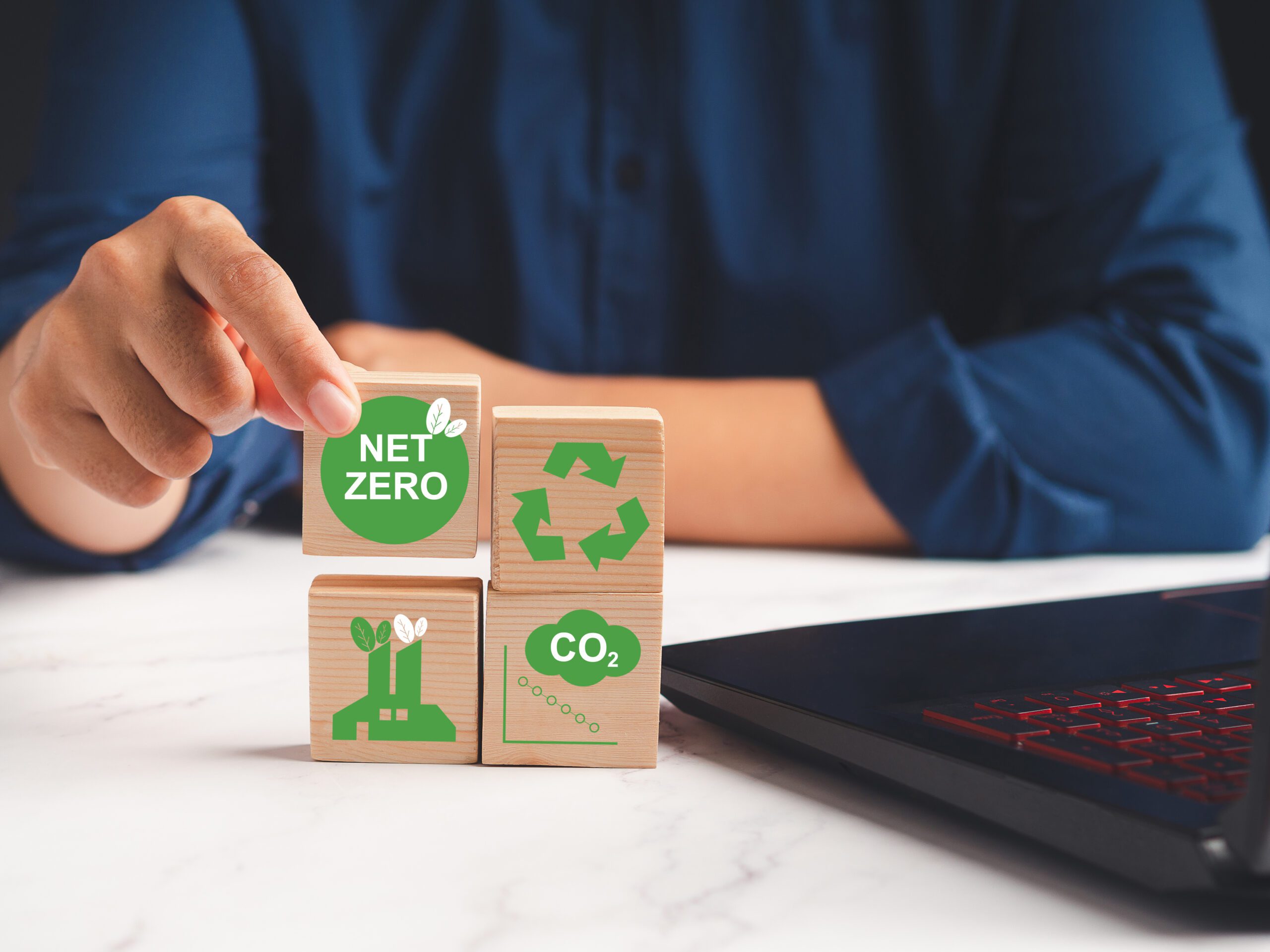 What does net zero mean for a company?