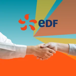EDF Energy Review